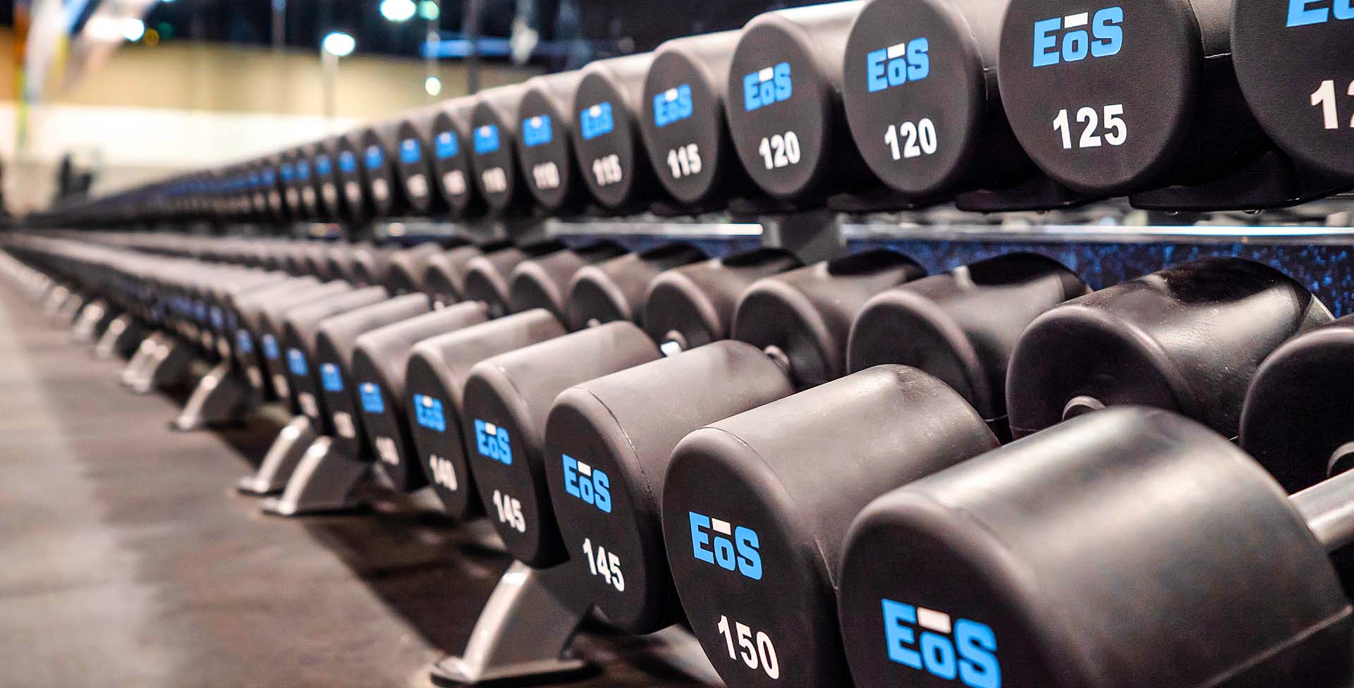 close up shot of eos branded dumbbells that go up to 150lbs